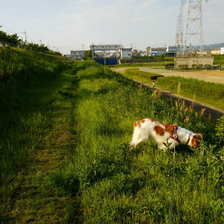 Efc361cc 28be 49e0 ac8c fbd6fc28cdc0 1557056695537