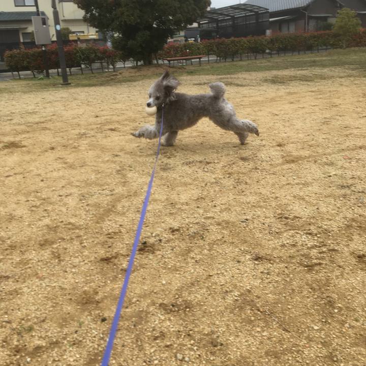 Efc3c807 9021 44f6 94f5 d9587b7a1a40 1628691383179