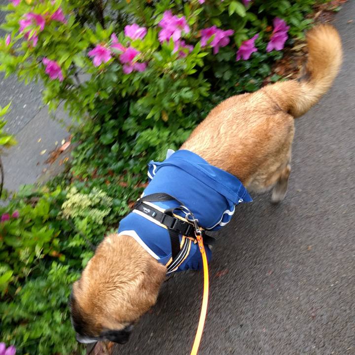 Efc3cf87 2bce 4f64 8470 b1eb843585a9 1556237979897