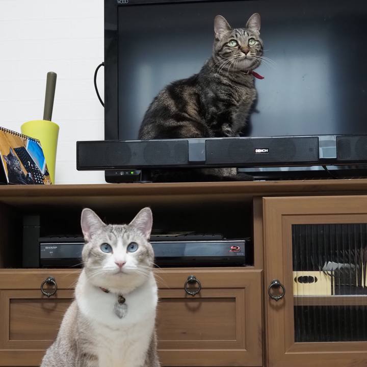 Efc3def7 1a78 4f33 8994 3e8d1c890cb4 1596891889845