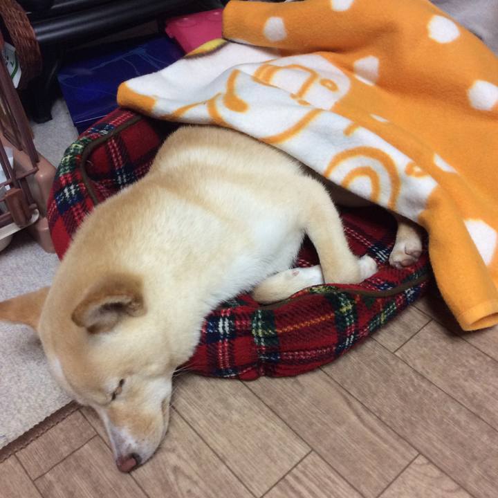 Efc3e2f1 e953 4560 b3fc 1a2ded2dbeb3 1509797016319