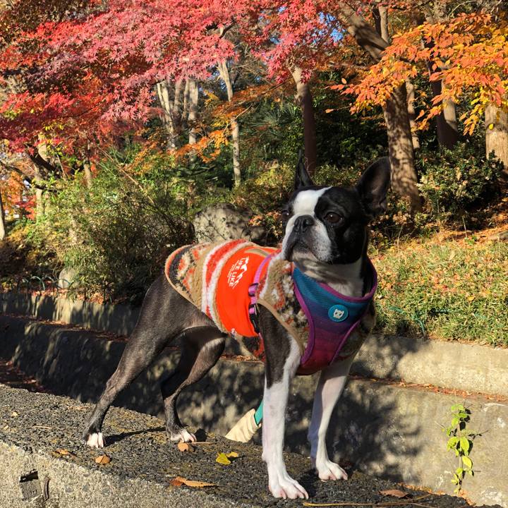 Efc4274b aa74 4fac 8b01 da9c7c009c4e 1671079751924