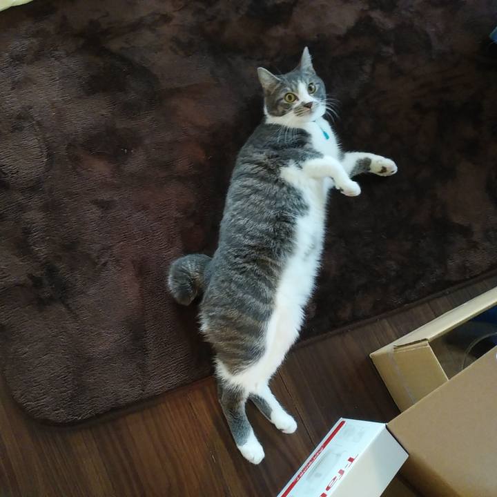 Efc430c5 1adf 4362 8b45 1112a619ad69 1578870132187