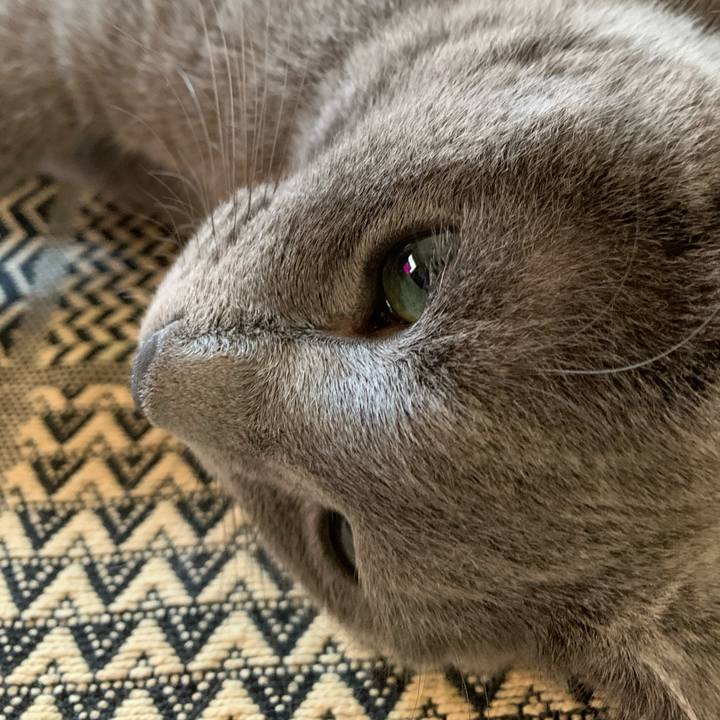 Efc48796 ae62 4360 af3e 16617570d401 1597534774619