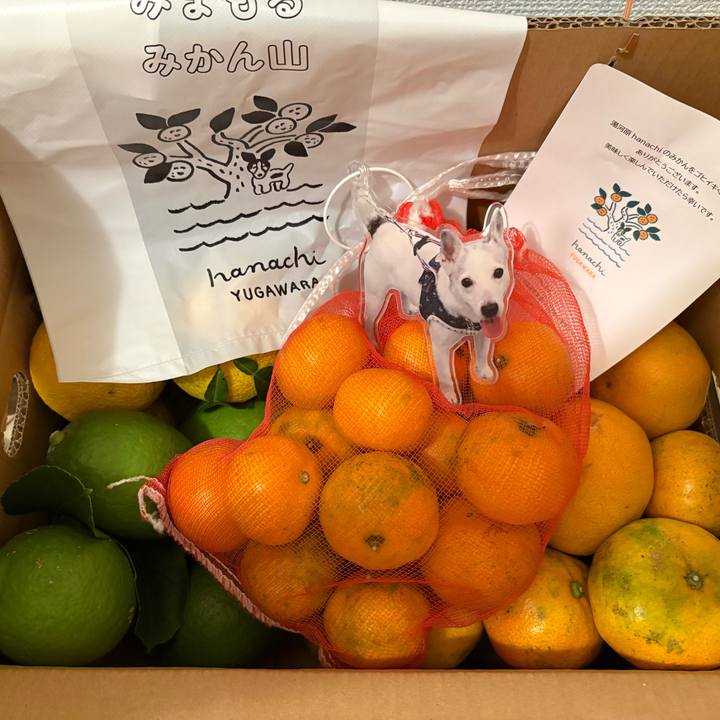 Efc49eeb 7c00 45ed 8088 1f793f5c7453 1762466534589