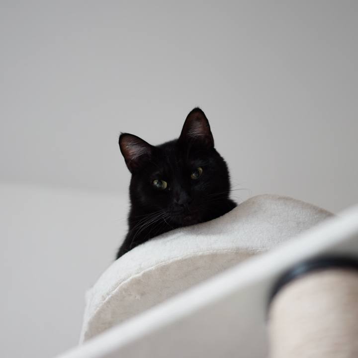 Efc51b7d 528d 42ea a247 1ee098cd958e 1548390673228