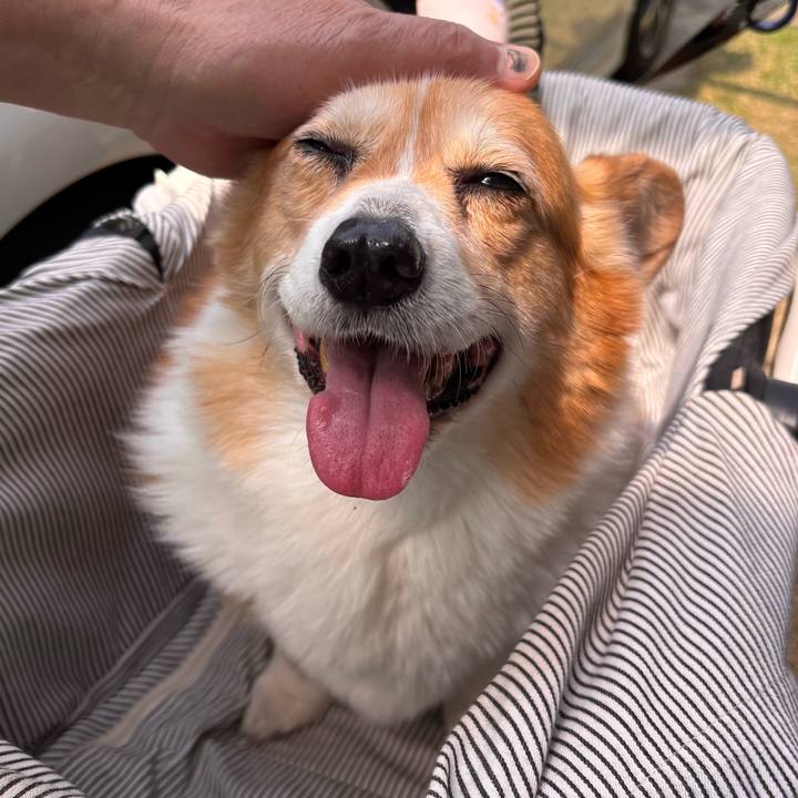 Efc56f1b e3a2 4a78 a801 202ed4555c94 1776474593689