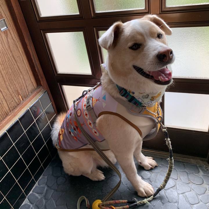 Efc57c23 c23e 49b0 a62d d1ee1583fb40 1565743980595