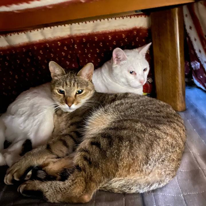 Efc584e5 368a 47be 9b89 d3abce0c6093 1670193503731