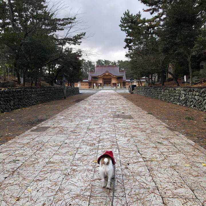 Efc5b04d 5a4a 4665 810d 9cc999c04dbd 1607988628621