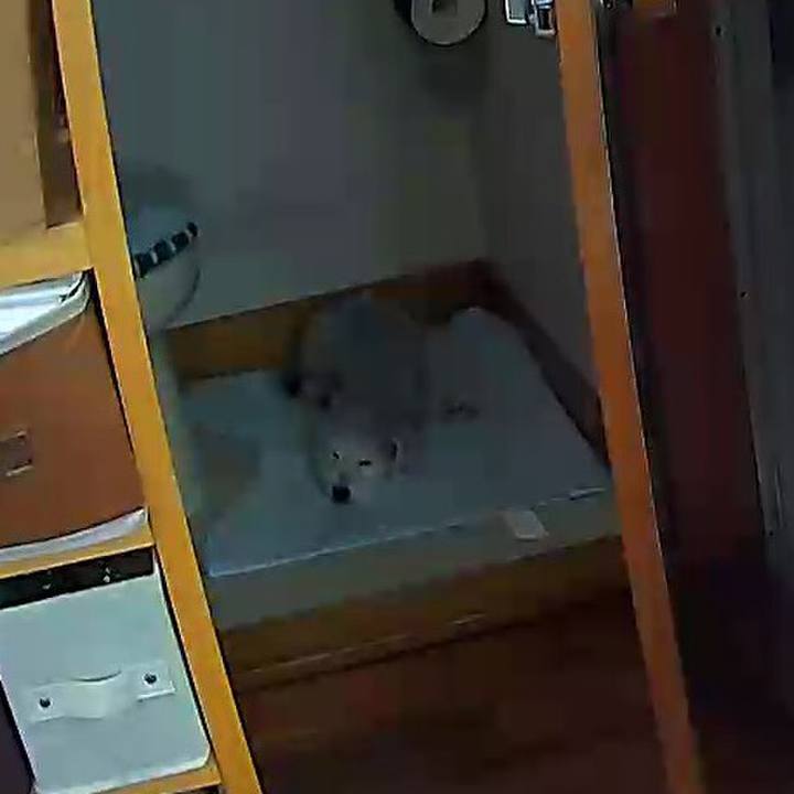 Efc5dbe0 f2fd 4c8b ae24 9697d33c154f 1653973450679