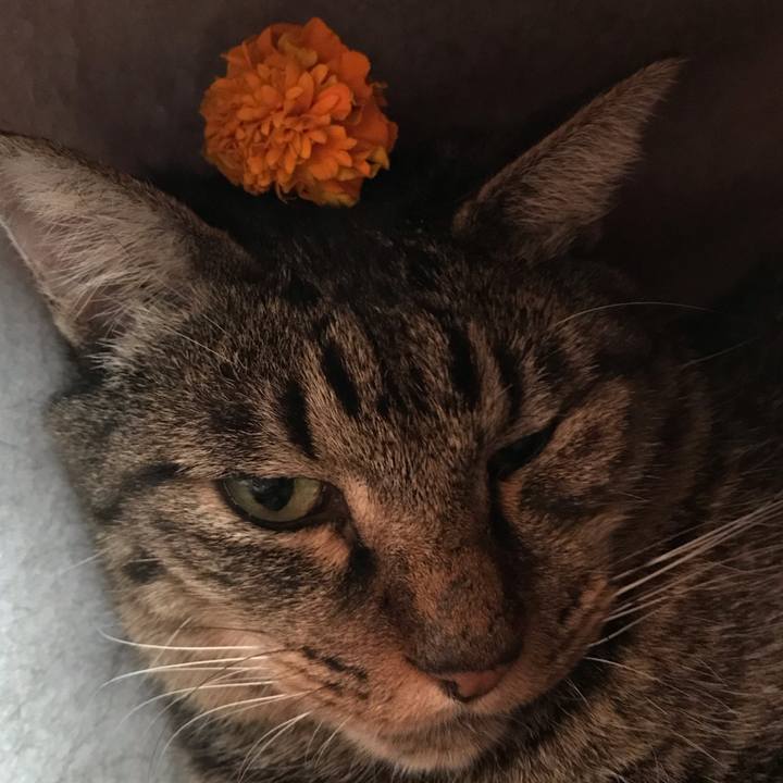 Efc5df04 70a6 4355 9aee 21752a9c3008 1589414285191