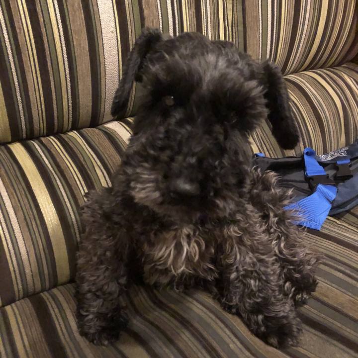 Efc6060a 1721 40f6 8c0d c8e45d5b292a 1557404088514