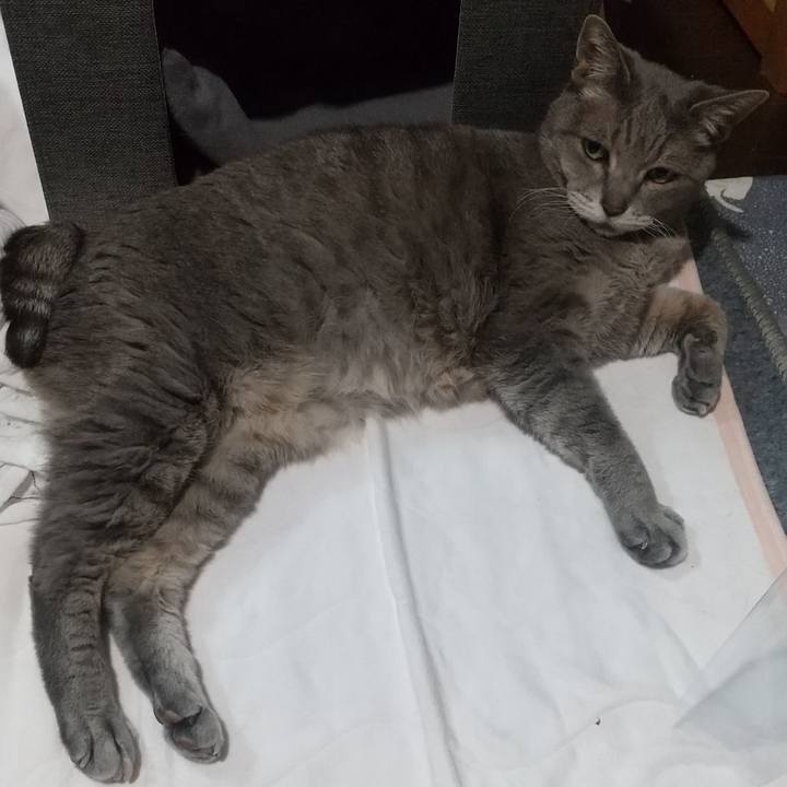 Efc644ef 87b4 48a6 8531 111833918573 1672151880512