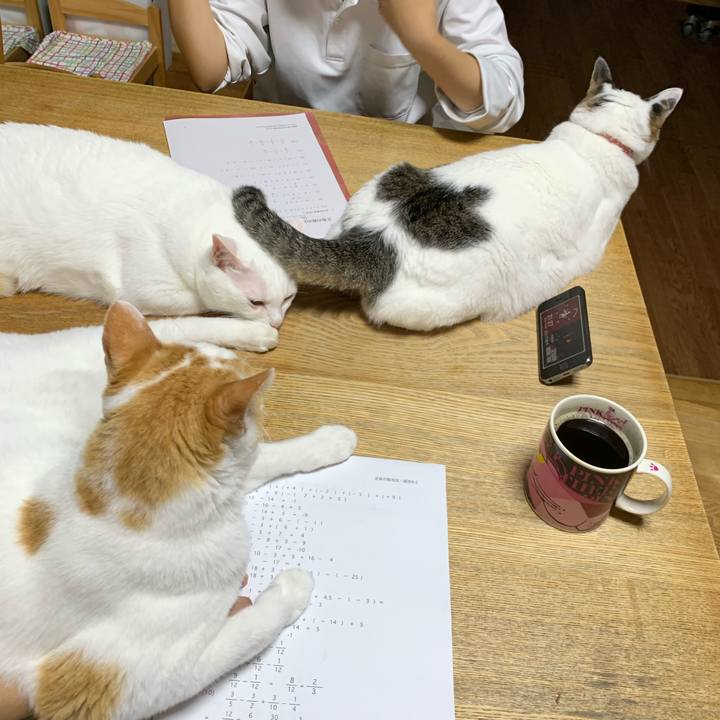 Efc65af2 cdd9 413a aae5 6b8718bfc8e7 1625570225218