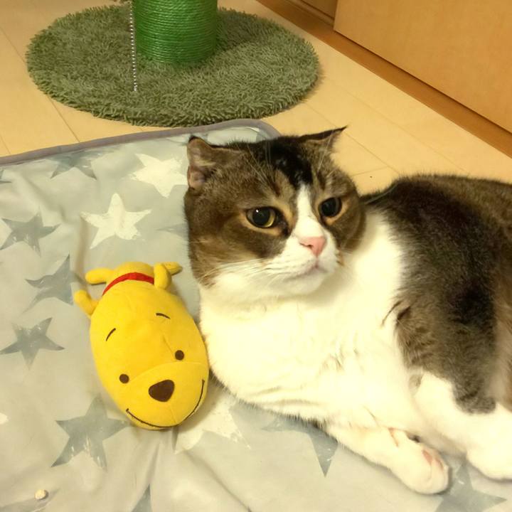 Efc6780f 3672 4d17 abe1 aa306354750f 1692718861309