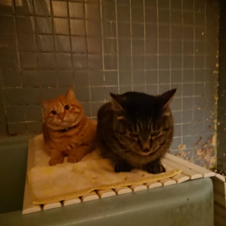 Efc69118 b781 4040 aa20 725ad719cfd3 1655036541060