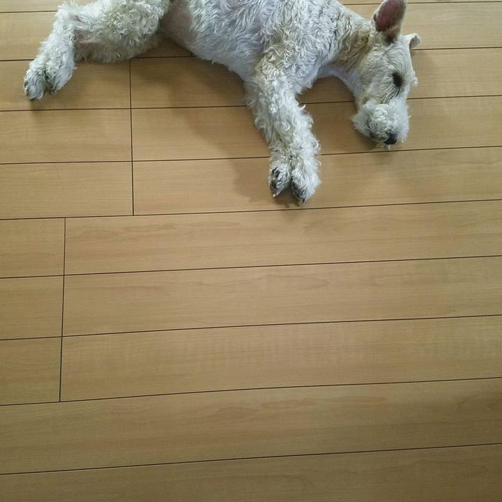 Efc6ad9f dbaa 4b80 8451 932d90e2a981 1538018957082