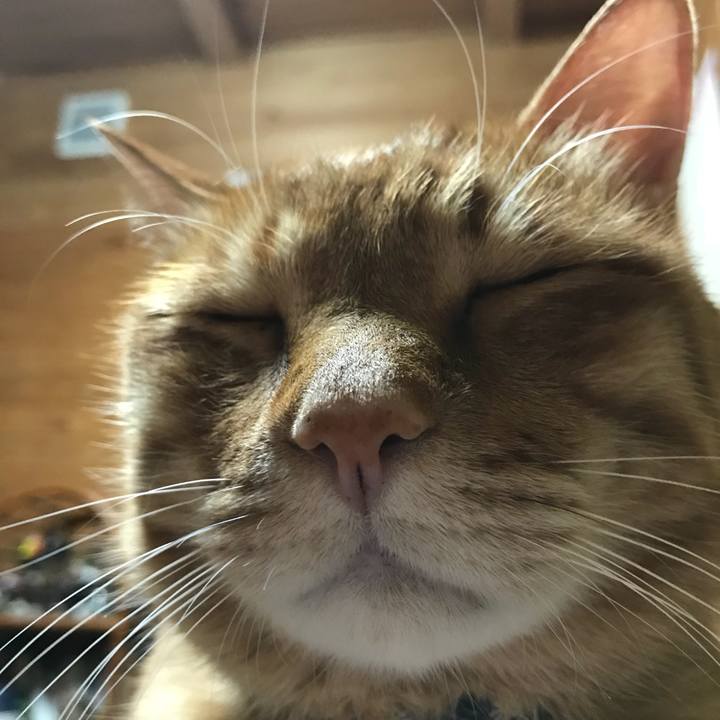 Efc6e9ae d87d 445f 8188 7730958f0a1e 1523712830721