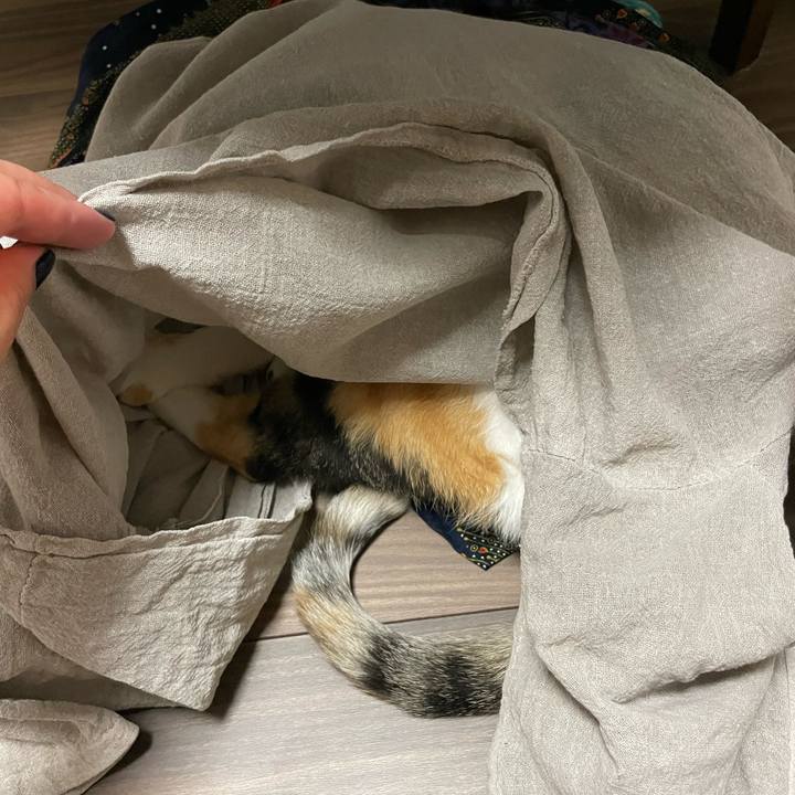 Efc71733 dcf1 49e1 97bf a2e01b0e5d01 1686236064136