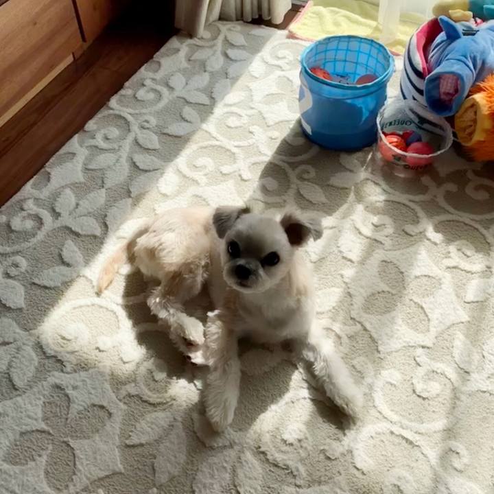 Efc71b93 b2d5 4b35 80bc 8f0833dbbd40 1550384424385