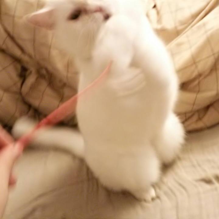 Efc74a5a 37a7 4f37 a0ba 618d7d8e8b67 1511478103665