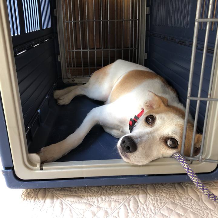 Efc75df2 9344 4391 91d7 58f4f78c0210 1597626393357