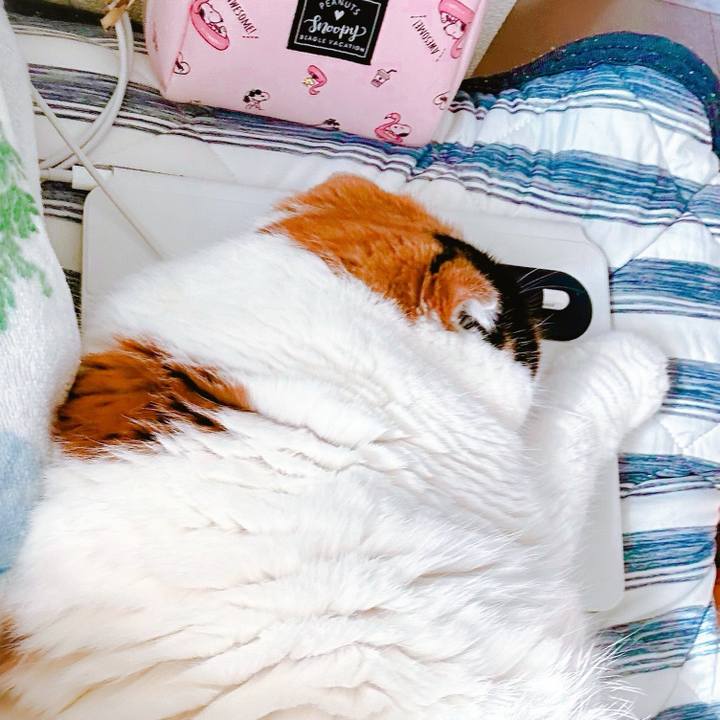 Efc75ec2 40a9 4752 8f99 852e6af94a2a 1696380487649