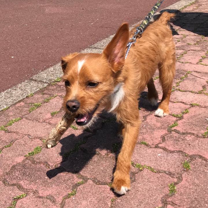 Efc76c18 8b42 4ad2 a556 c2b4d2cfc368 1558080630322