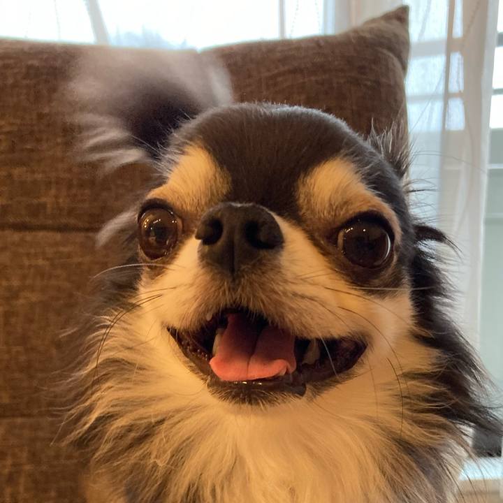 Efc7d523 0b14 44e1 b750 b2d2ba887132 1708693896490