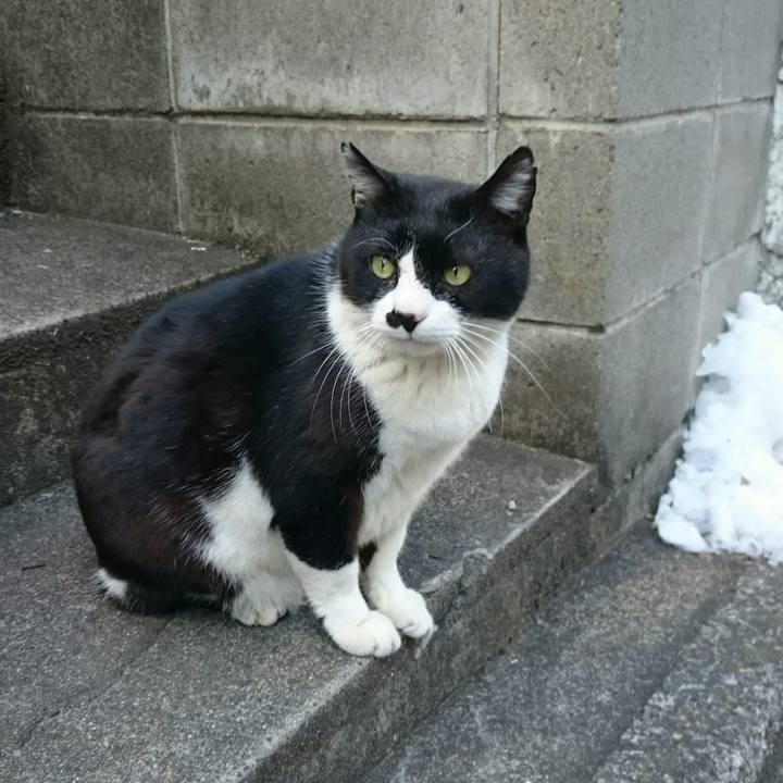 Efc8139b e365 403d 94bd 9ab21c6057de 1517014989407