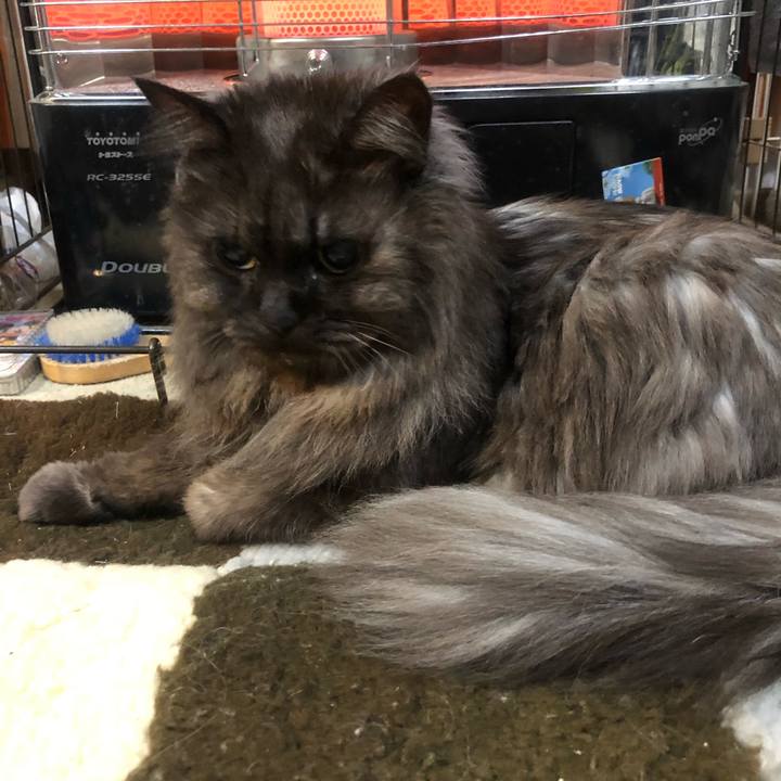 Efc815d8 b295 4179 ad1d e3a6b619c8ee 1547591367529