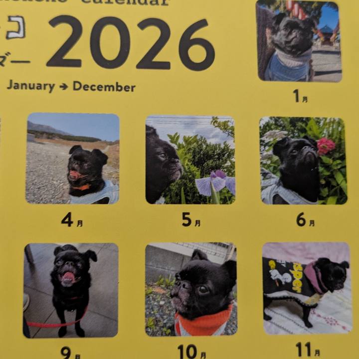 Efc85f40 9cc0 4c7e bc14 73544eb5f0f6 1763547609647