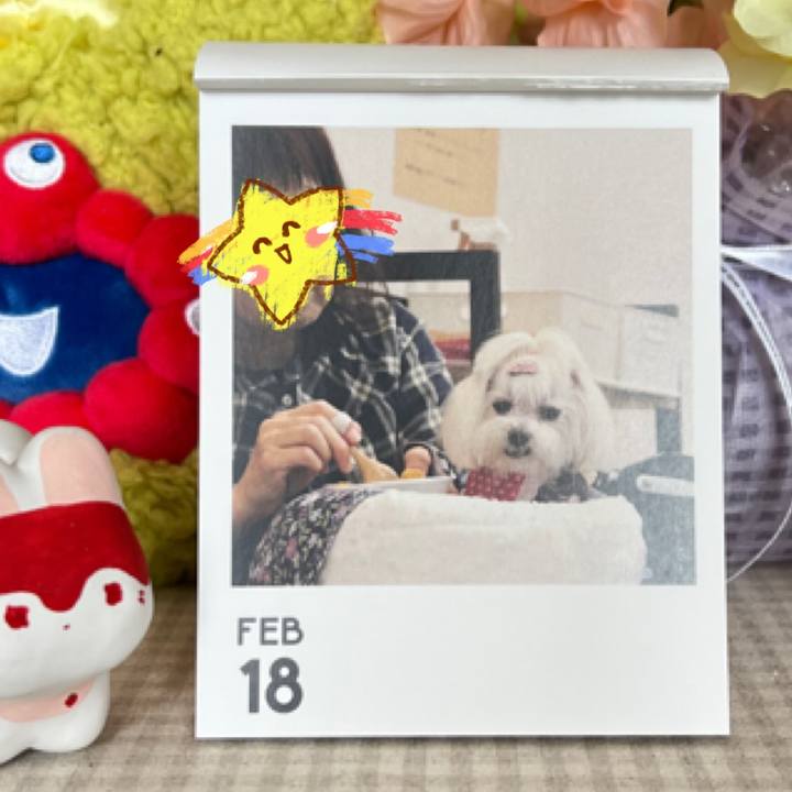 Efc8856a ac3d 43b3 b4bb 800571bf6adf 1771404844713