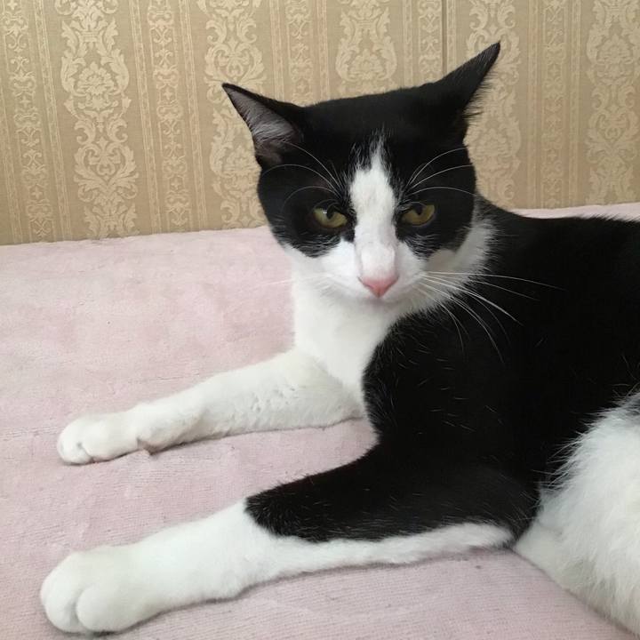 Efc8a82f ee13 408e a674 407c9cbf8f74 1656985983742