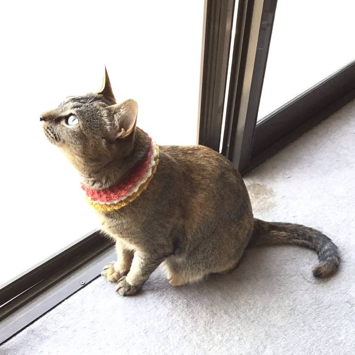 Efc8ab3c b6c5 4a38 8c15 934f6d78c609 1622505780285