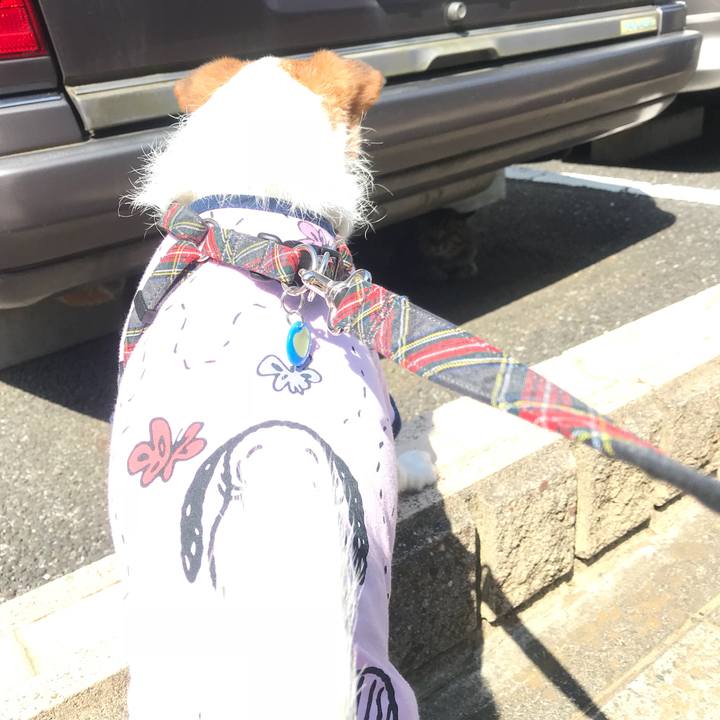 Efc8d367 3745 4d67 93ca 8547a0f26b6a 1525137466119