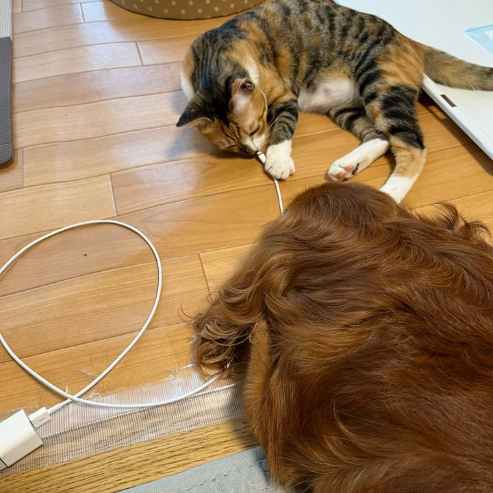 Efc8eb6e 3474 4861 a2c5 22d8cccc4897 1662292428517