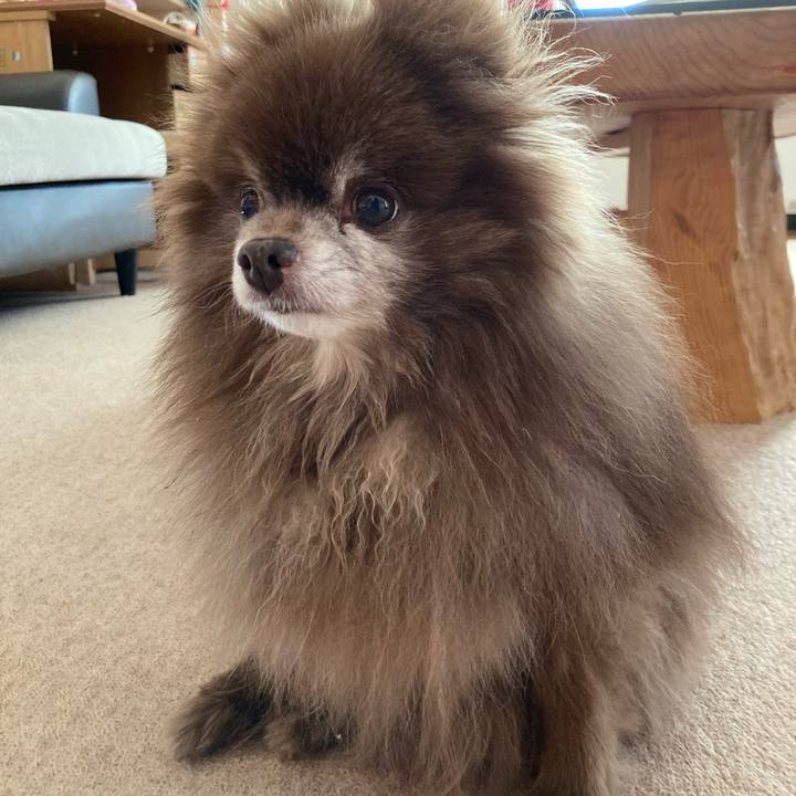 Efc933b2 a2bc 42c9 8399 e370d2e28f28 1709164784554