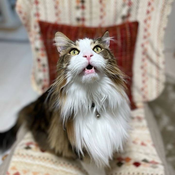 Efc93798 572f 4b70 93bc d91a452ce395 1677527679591