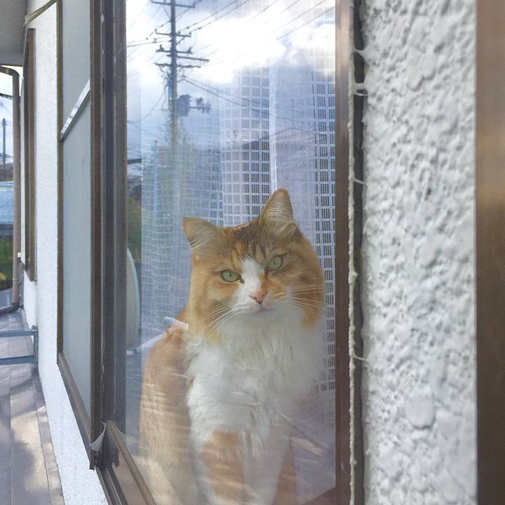 Efc938cf 391d 492c a726 7f32a596ab6a 1583915392045