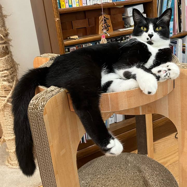 Efc943aa 17bf 48aa 97bc 47ba427085c5 1662937813199