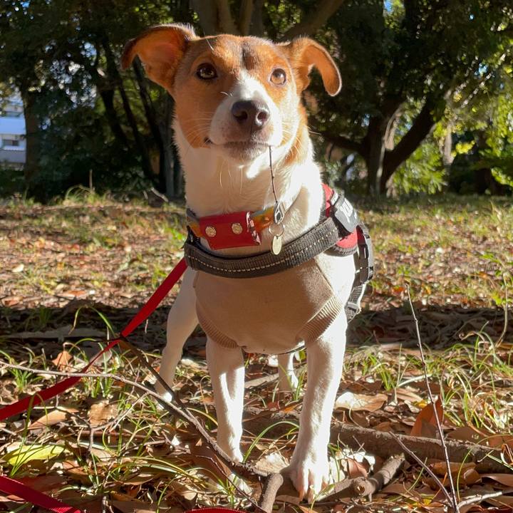 Efc958ce e00e 4f80 be29 a6ae893c82f0 1700471913841