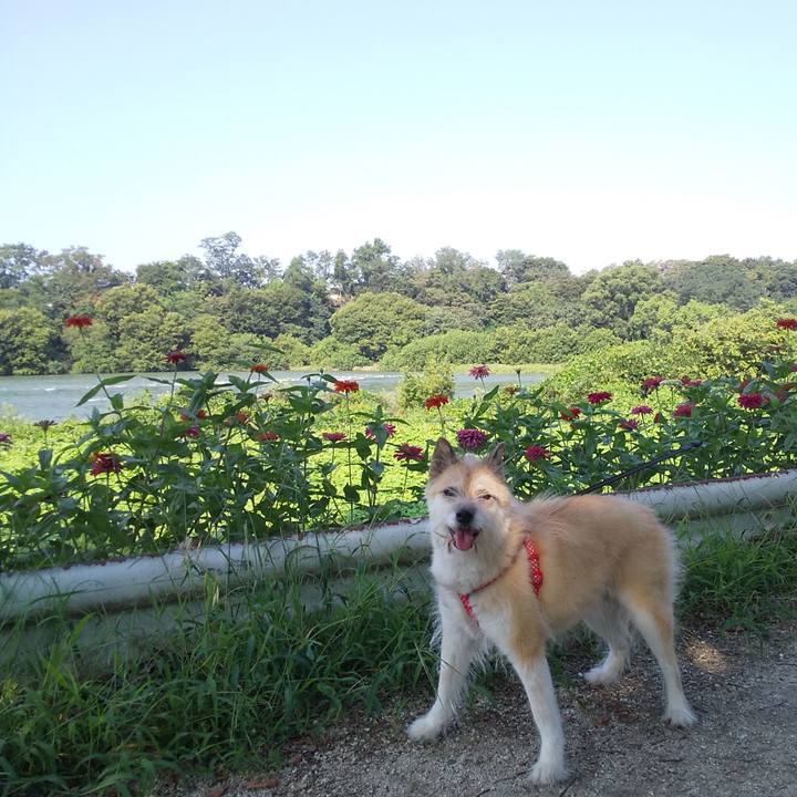 Efc96b80 9eb3 4caa 9dd4 48c9fe05e871 1566693375881