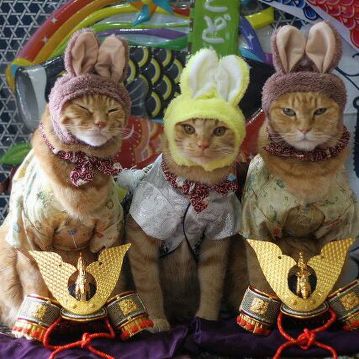 Efc9e637 2c7f 44e8 872f 0de13bdb0a7c 1557015929639