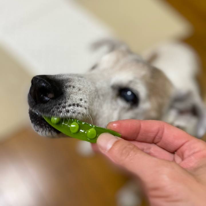 Efc9ed68 4796 42f9 b37b 22ed1aa3db56 1716330061301