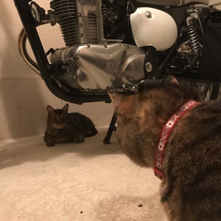 Efc9f687 8763 4068 acc4 714d600ede35 1561737952217