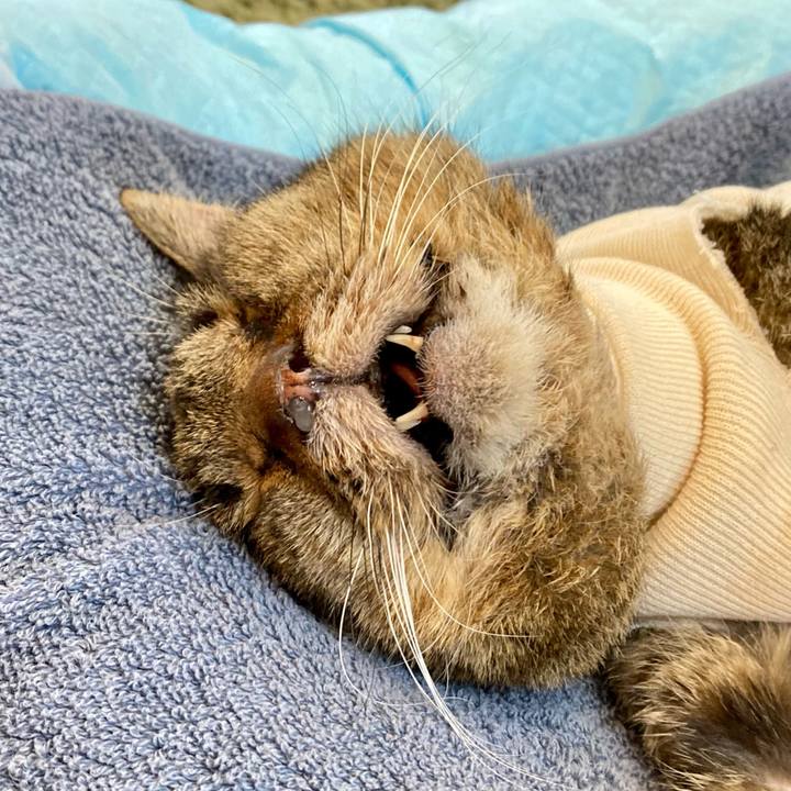 Efc9fea0 fffb 4141 a5ca f9b7676b61af 1688423540872