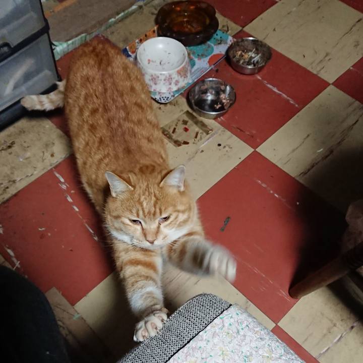 Efca07c8 7dbe 4cab b9b3 c253c8dc7508 1577043898814