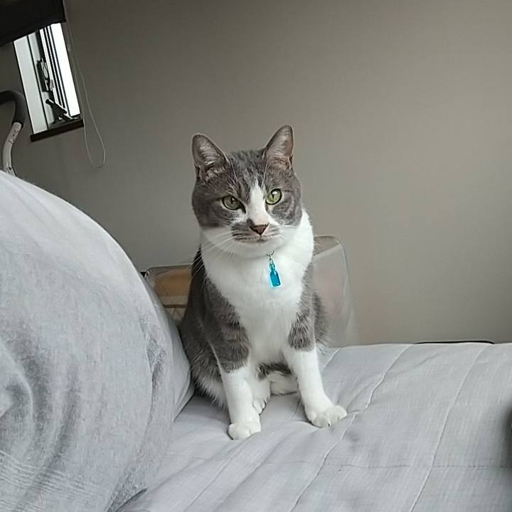 Efca11a6 519c 46a7 a79d 75445b7242ff 1648770159116